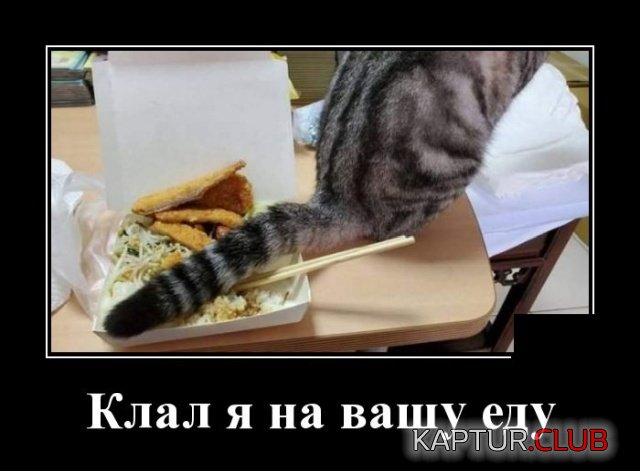 1581513884_demotivatory_03.jpg | Рено Каптур Клуб Россия | Форум KAPTUR.SU