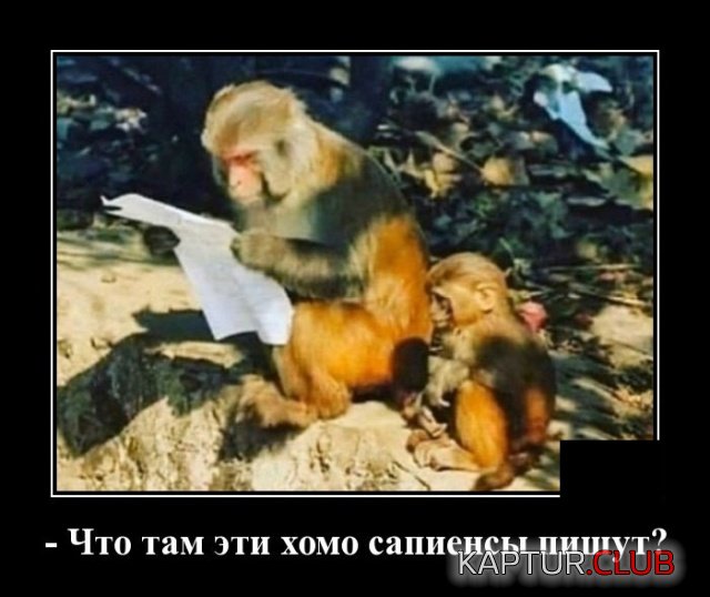 1581513888_demotivatory_04.jpg | Рено Каптур Клуб Россия | Форум KAPTUR.SU