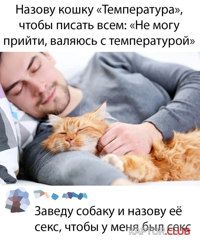 1581589403_podb_02.jpg | Рено Каптур Клуб Россия | Форум KAPTUR.SU