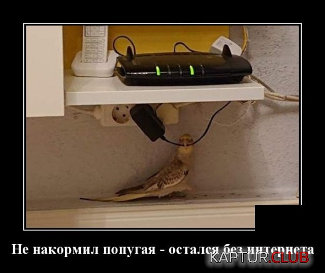 1581604846_demotivatory_12.jpg | Рено Каптур Клуб Россия | Форум KAPTUR.SU