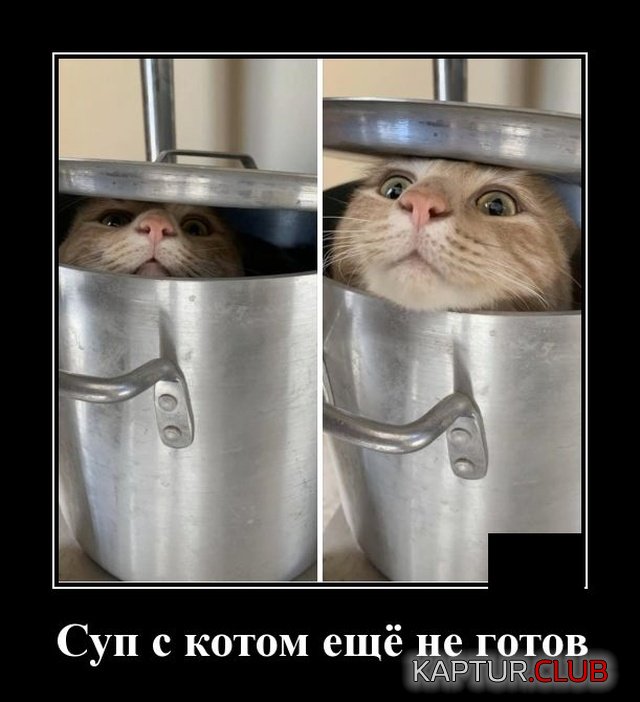 1581689040_demotivatory_07.jpg | Рено Каптур Клуб Россия | Форум KAPTUR.SU