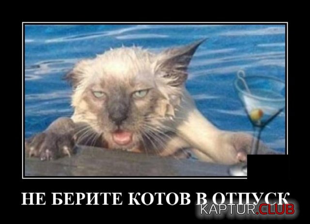 1582033134_demotivatory_14.jpg | Рено Каптур Клуб Россия | Форум KAPTUR.SU