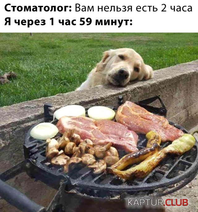 1582106050_podb_27.jpg | Рено Каптур Клуб Россия | Форум KAPTUR.SU