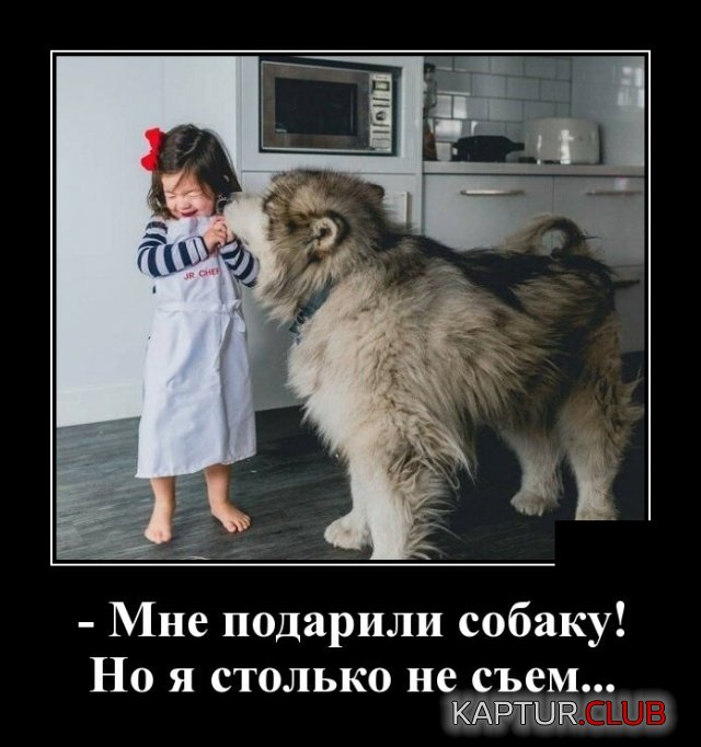 1582460628_1582210645_demotivatory_20.jpg | Рено Каптур Клуб Россия | Форум KAPTUR.SU