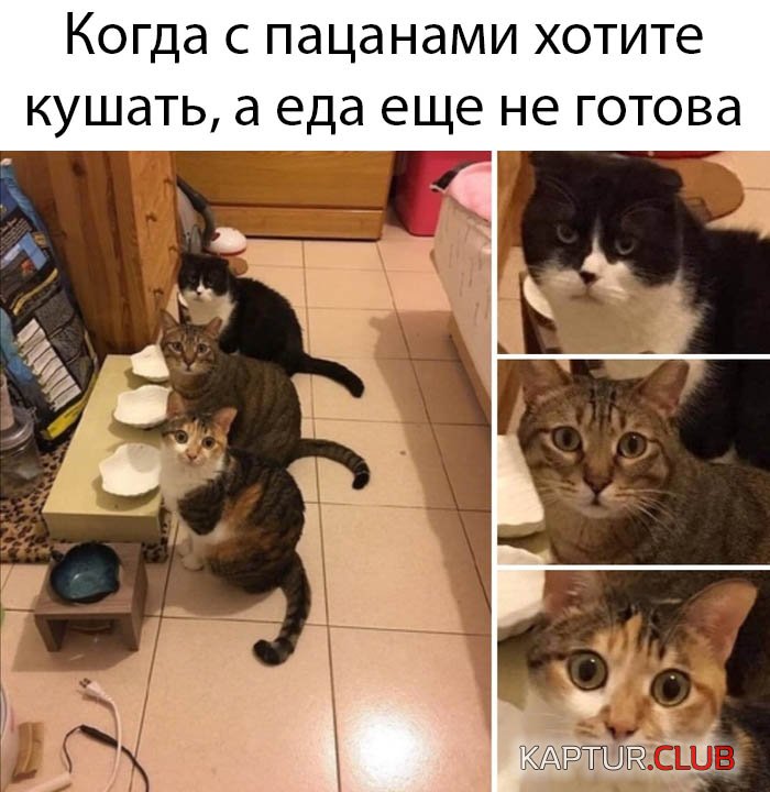1582711585_podb_27.jpg | Рено Каптур Клуб Россия | Форум KAPTUR.SU