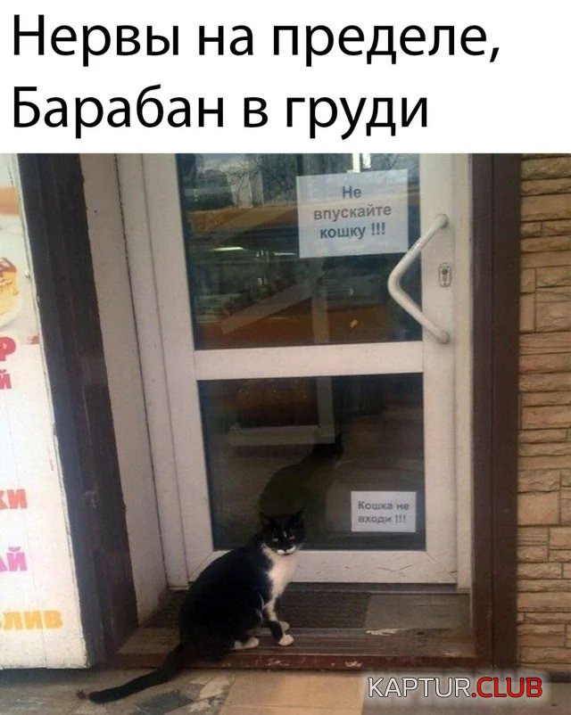 1582711623_podb_04.jpg | Рено Каптур Клуб Россия | Форум KAPTUR.SU