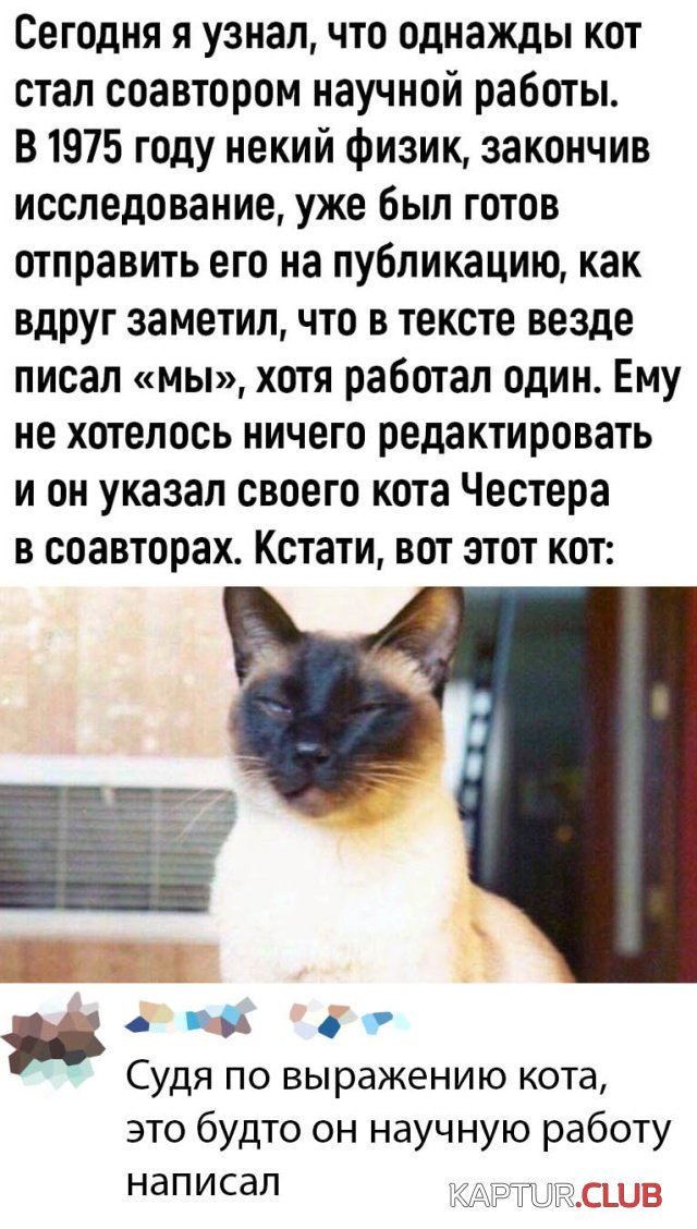 1582883815_podb_28.jpg | Рено Каптур Клуб Россия | Форум KAPTUR.SU
