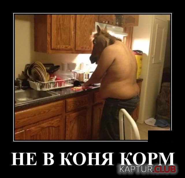 1583210039_1582902317_demotivatory_17.jpg | Рено Каптур Клуб Россия | Форум KAPTUR.SU