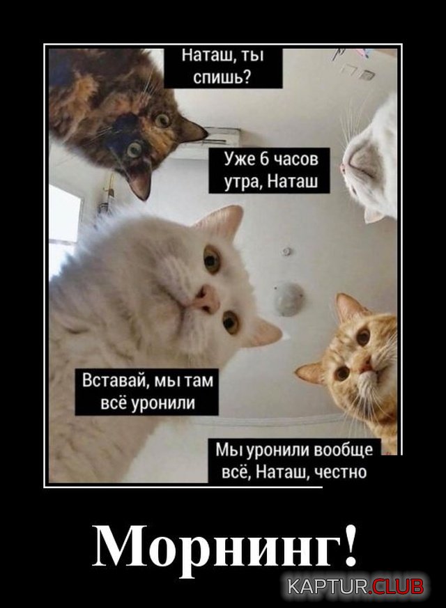 1583210052_1582902342_demotivatory_04.jpg | Рено Каптур Клуб Россия | Форум KAPTUR.SU
