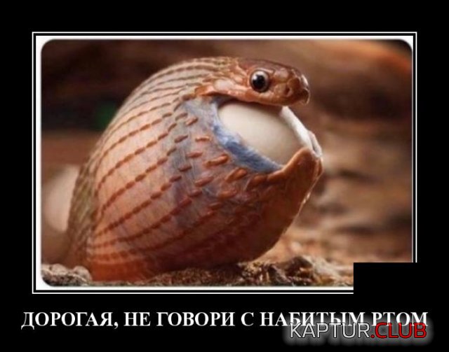 1583481229_1583331963_demotivatory_11.jpg | Рено Каптур Клуб Россия | Форум KAPTUR.SU