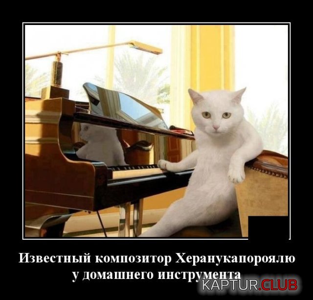 1583481237_1583331920_demotivatory_05.jpg | Рено Каптур Клуб Россия | Форум KAPTUR.SU