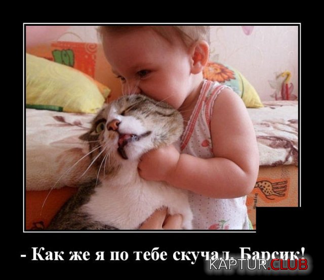 1583756844_demotivatory_10.jpg | Рено Каптур Клуб Россия | Форум KAPTUR.SU