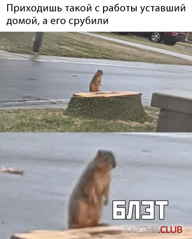 1583918418_podb_29.jpg | Рено Каптур Клуб Россия | Форум KAPTUR.SU