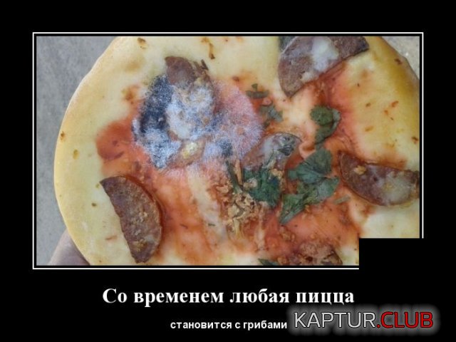 1584109542_demotivatory_10.jpg | Рено Каптур Клуб Россия | Форум KAPTUR.SU