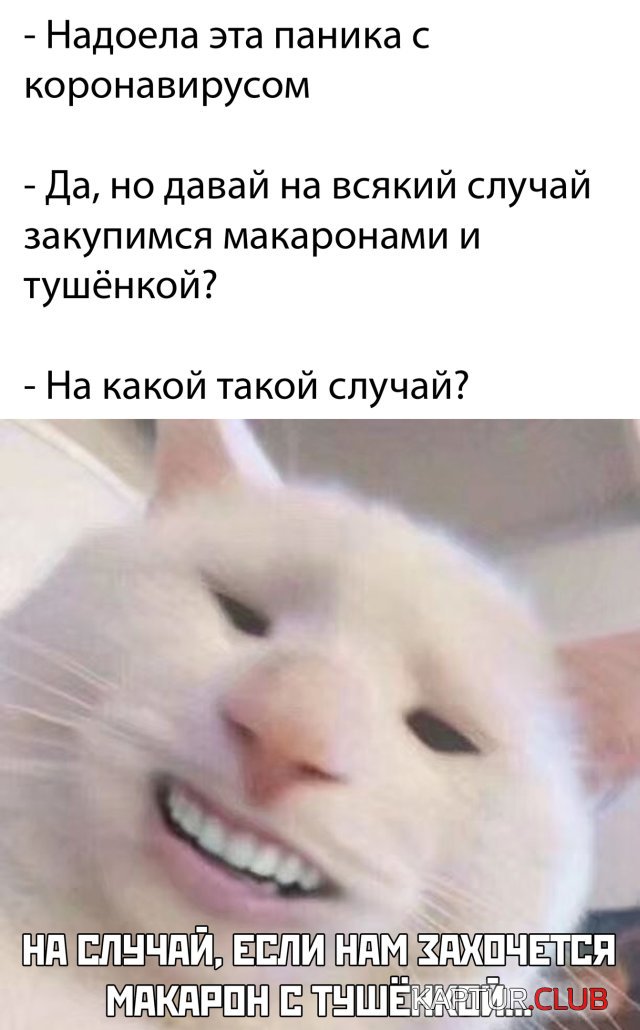 1584455800_podb_vecher_30.jpg | Рено Каптур Клуб Россия | Форум KAPTUR.SU
