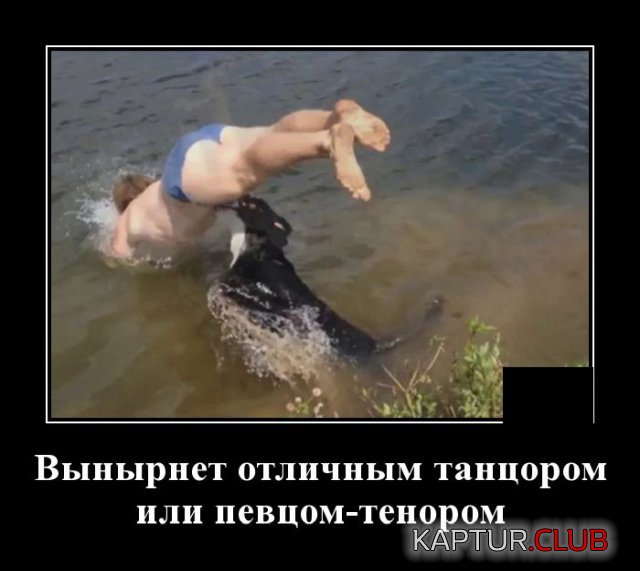 1584519611_1584366486_demotivatory_06.jpg | Рено Каптур Клуб Россия | Форум KAPTUR.SU