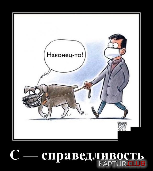 1584519639_1584366446_demotivatory_15.jpg | Рено Каптур Клуб Россия | Форум KAPTUR.SU