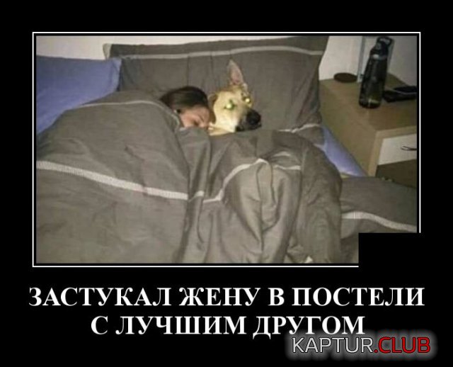 1584708689_demotivatory_20.jpg | Рено Каптур Клуб Россия | Форум KAPTUR.SU
