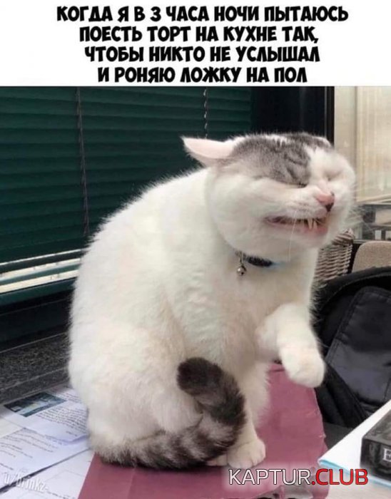 1584870848_1584802625_prik-46.jpeg | Рено Каптур Клуб Россия | Форум KAPTUR.SU