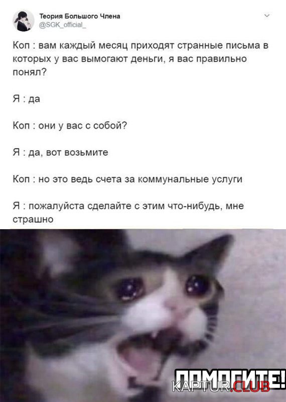 1584954363_podb_23.jpg | Рено Каптур Клуб Россия | Форум KAPTUR.SU