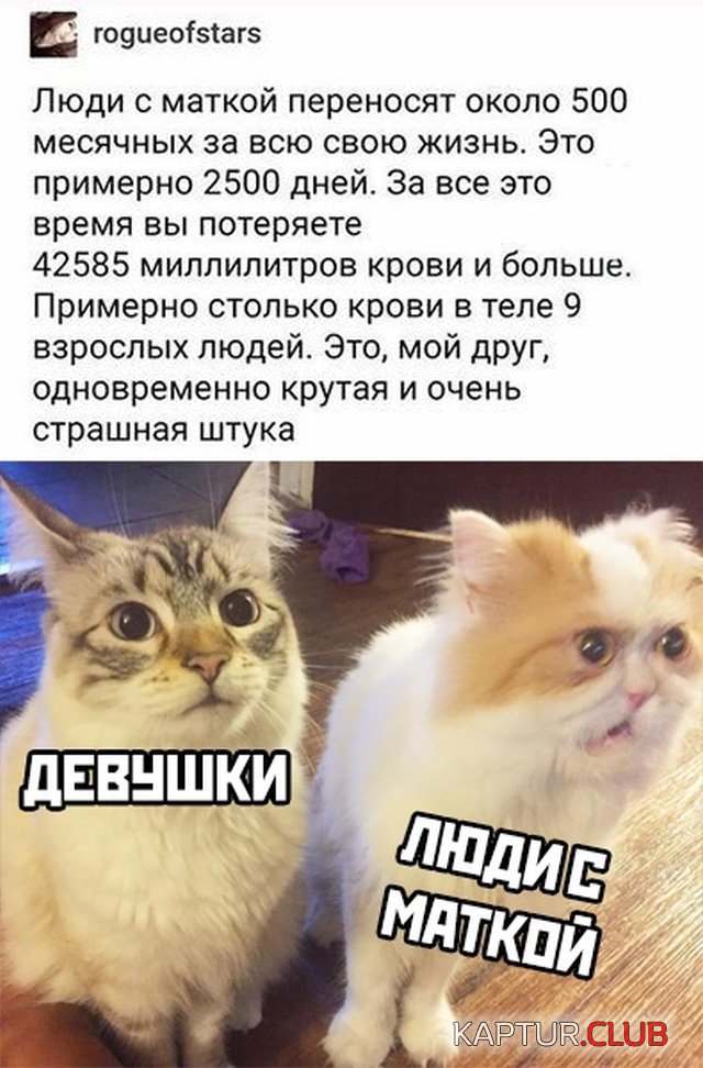 1584976246_podb_vecher_33.jpg | Рено Каптур Клуб Россия | Форум KAPTUR.SU