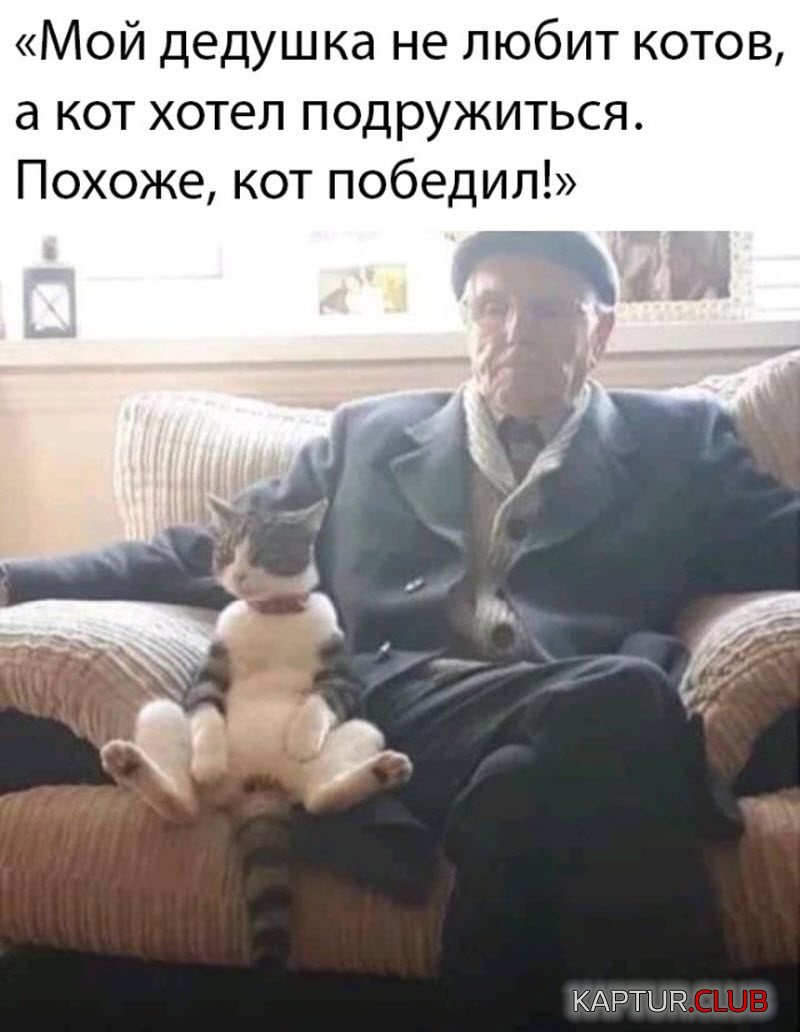 1585219286_1585062090_podb_vecher_05-800x1032.jpg | Рено Каптур Клуб Россия | Форум KAPTUR.SU