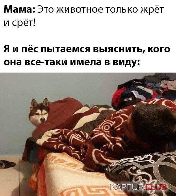 1585300550_podb_32.jpg | Рено Каптур Клуб Россия | Форум KAPTUR.SU