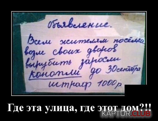 1585578574_demotivatory_03.jpg | Рено Каптур Клуб Россия | Форум KAPTUR.SU