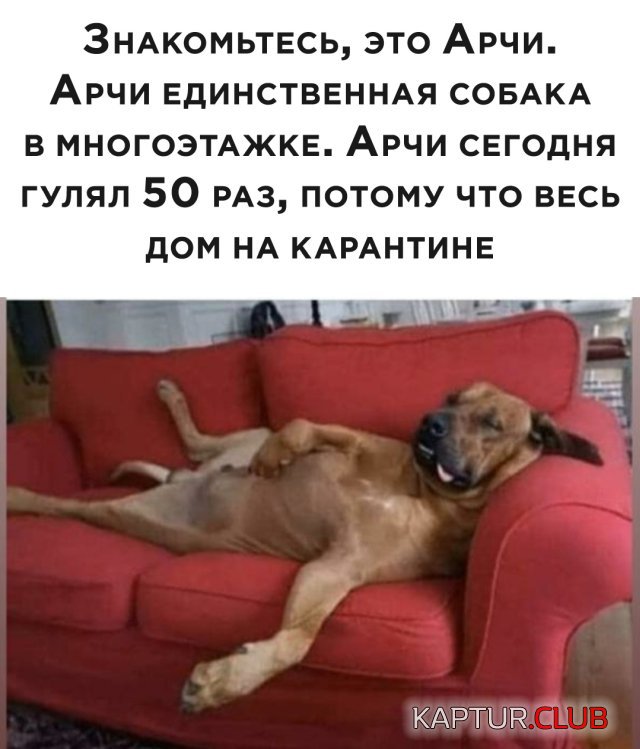 1585643641_podb_03.jpg | Рено Каптур Клуб Россия | Форум KAPTUR.SU