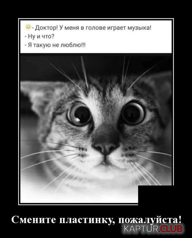 1585661965_demotivatory_02.jpg | Рено Каптур Клуб Россия | Форум KAPTUR.SU