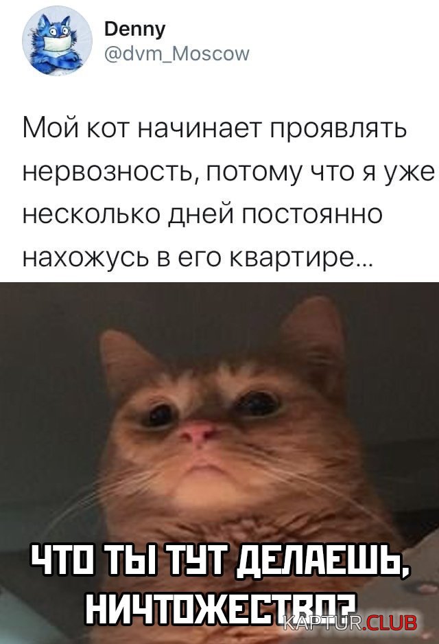 1585665886_podb_vecher_30.jpg | Рено Каптур Клуб Россия | Форум KAPTUR.SU