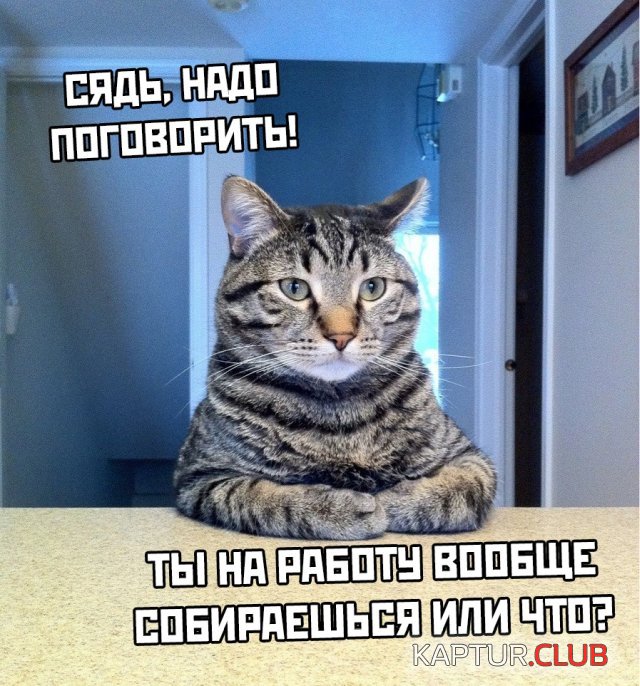 1585730767_podb_30.jpg | Рено Каптур Клуб Россия | Форум KAPTUR.SU
