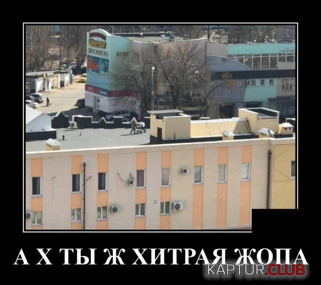 1585924172_demotivatory_20.jpg | Рено Каптур Клуб Россия | Форум KAPTUR.SU