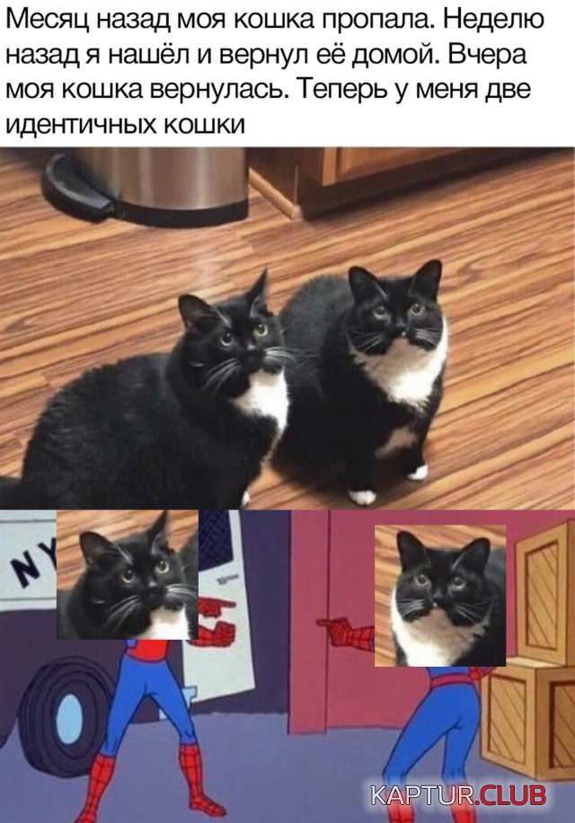 1586423151_podb_31.jpg | Рено Каптур Клуб Россия | Форум KAPTUR.SU