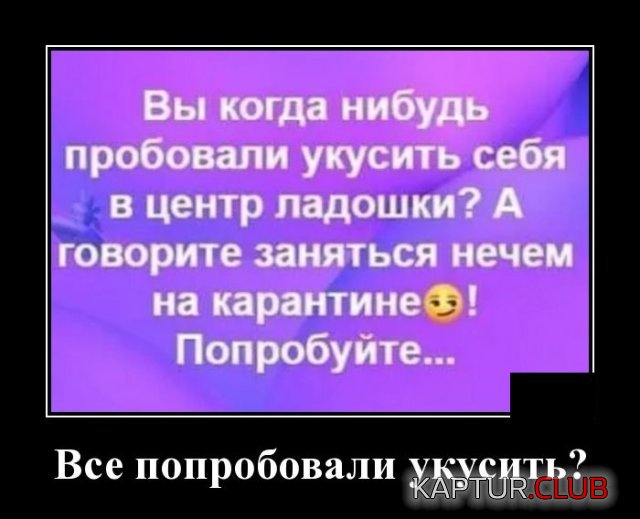 1586531030_demotivatory_17.jpg | Рено Каптур Клуб Россия | Форум KAPTUR.SU