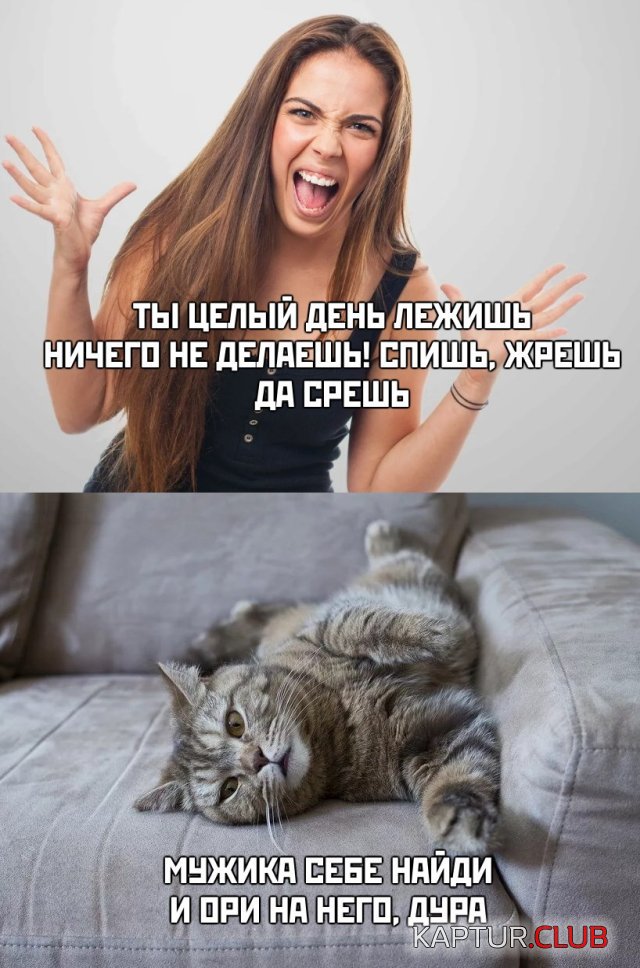 1586532672_podb_vecher_32.jpg | Рено Каптур Клуб Россия | Форум KAPTUR.SU