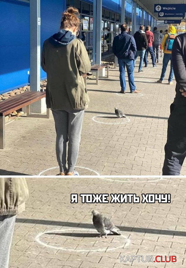 1586768680_podb_03.jpg | Рено Каптур Клуб Россия | Форум KAPTUR.SU