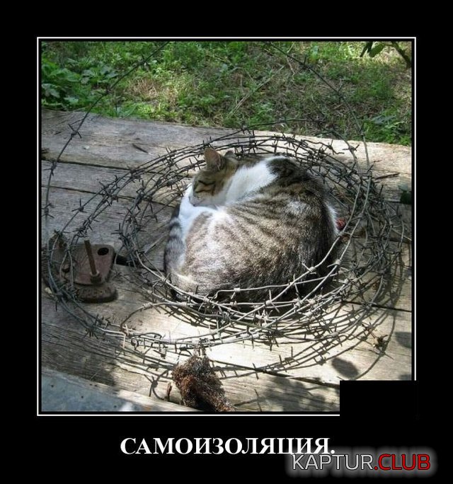 1586864026_demotivatory_03.jpg | Рено Каптур Клуб Россия | Форум KAPTUR.SU