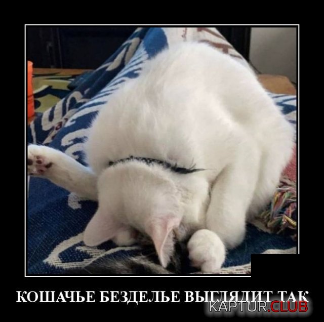 1586864061_demotivatory_16.jpg | Рено Каптур Клуб Россия | Форум KAPTUR.SU