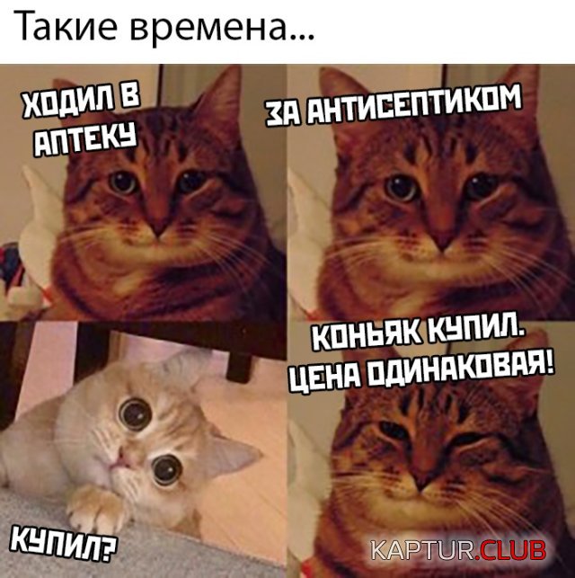 1586870303_podb_vecher_34.jpg | Рено Каптур Клуб Россия | Форум KAPTUR.SU