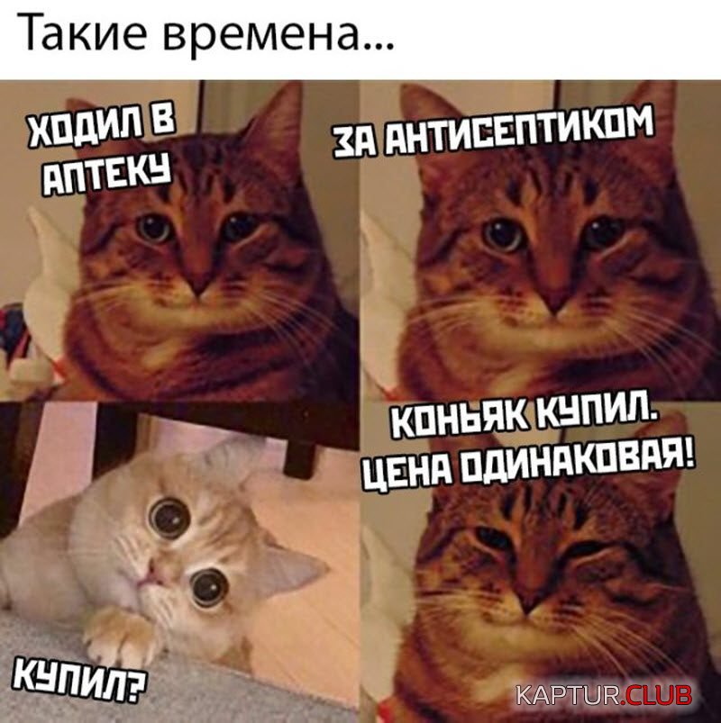 1587033329_1586870303_podb_vecher_34-800x803.jpg | Рено Каптур Клуб Россия | Форум KAPTUR.SU