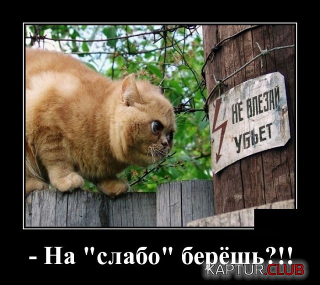 1587047140_demotivatory_11.jpg | Рено Каптур Клуб Россия | Форум KAPTUR.SU