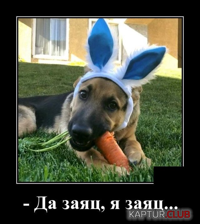 1587393405_demotivatory_09.jpg | Рено Каптур Клуб Россия | Форум KAPTUR.SU