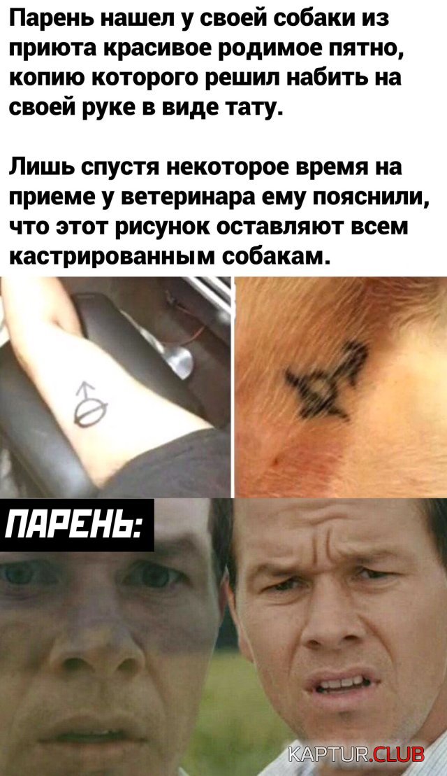 1587396615_podb_vecher_38.jpg | Рено Каптур Клуб Россия | Форум KAPTUR.SU