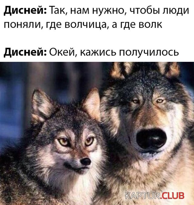 1587638555_podb_27.jpg | Рено Каптур Клуб Россия | Форум KAPTUR.SU