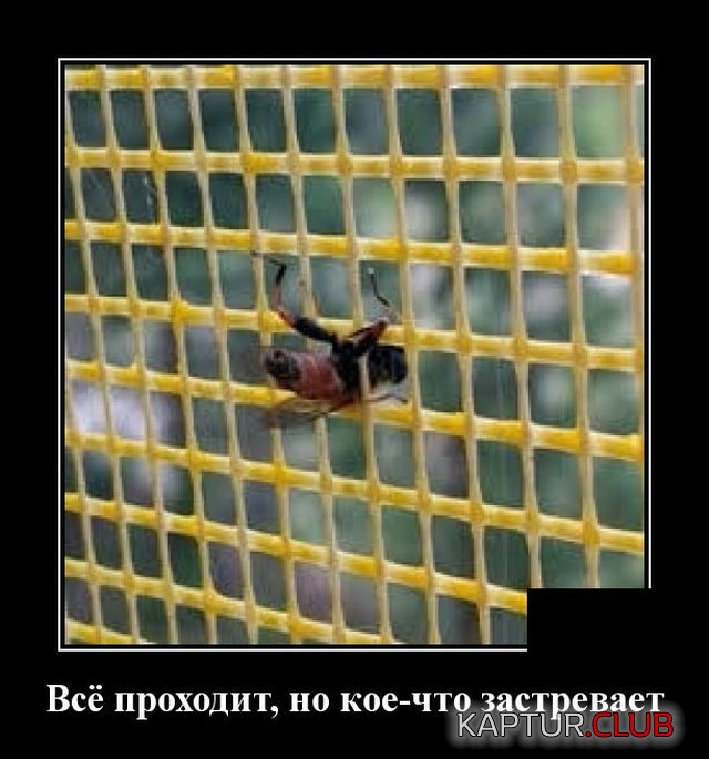 1587652326_demotivatory_06.jpg | Рено Каптур Клуб Россия | Форум KAPTUR.SU