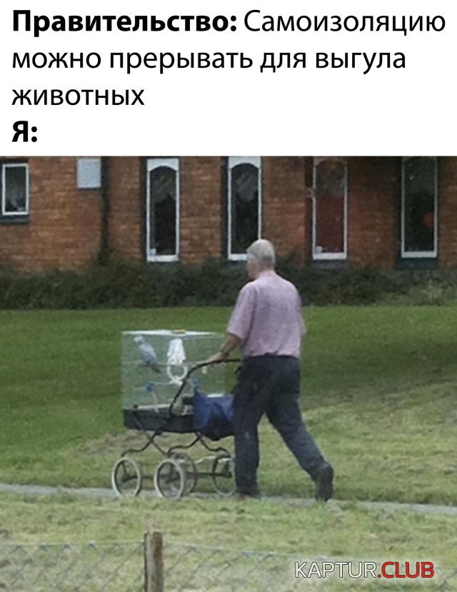 1587721907_podb_31.jpg | Рено Каптур Клуб Россия | Форум KAPTUR.SU