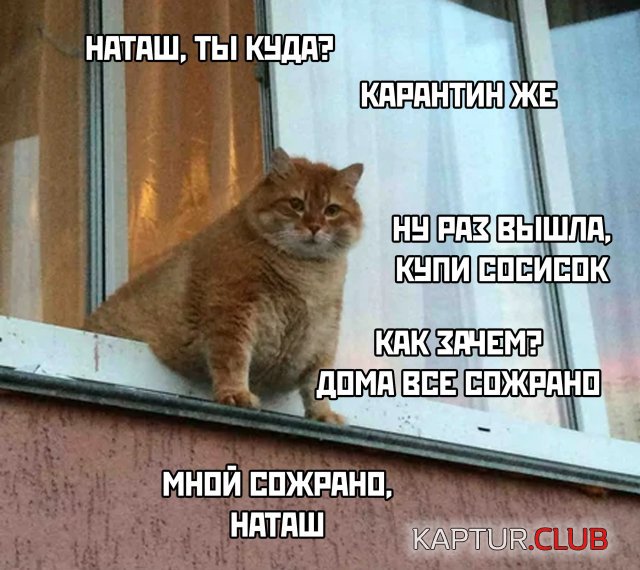 1587721927_podb_04.jpg | Рено Каптур Клуб Россия | Форум KAPTUR.SU