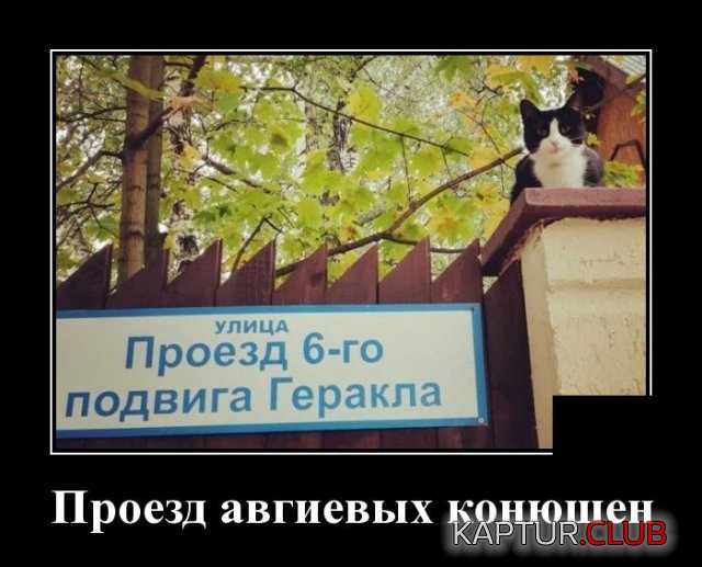 1587995069_demotivatory_17.jpg | Рено Каптур Клуб Россия | Форум KAPTUR.SU