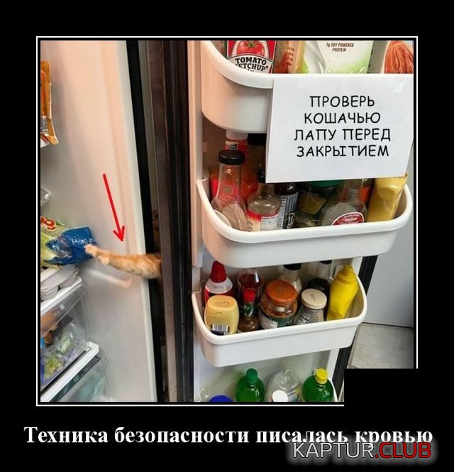 1588081575_demotivatory_02.jpg | Рено Каптур Клуб Россия | Форум KAPTUR.SU
